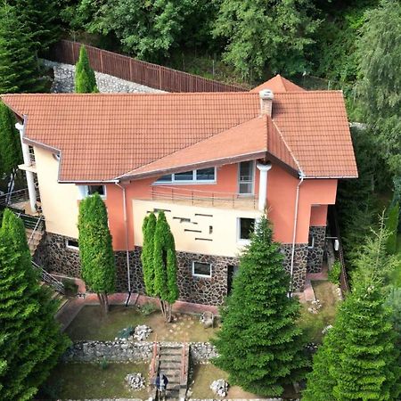 Marble Villa: Luxury Estate - Central But Intimate Sinaia Kültér fotó