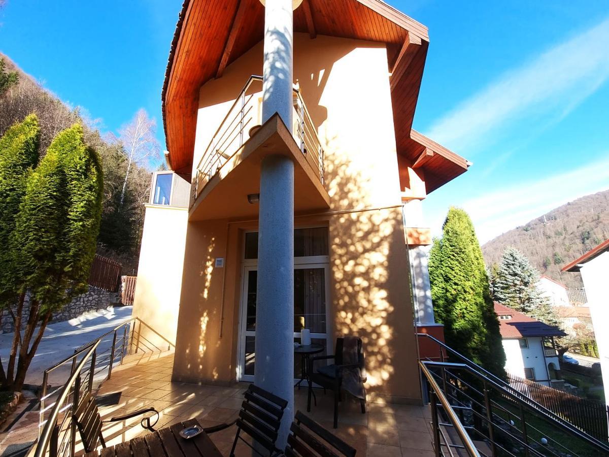 Marble Villa: Luxury Estate - Central But Intimate Sinaia Kültér fotó