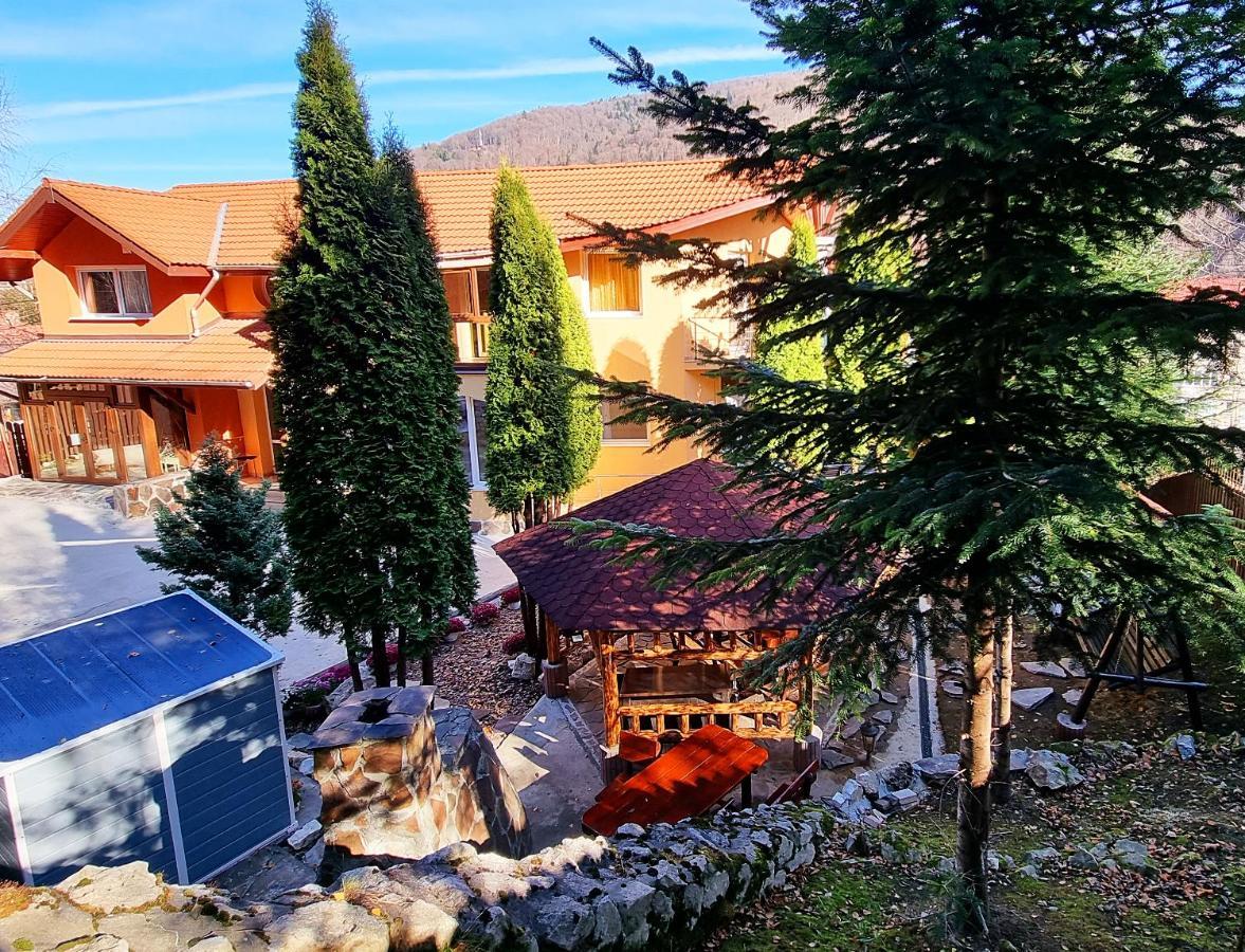 Marble Villa: Luxury Estate - Central But Intimate Sinaia Kültér fotó
