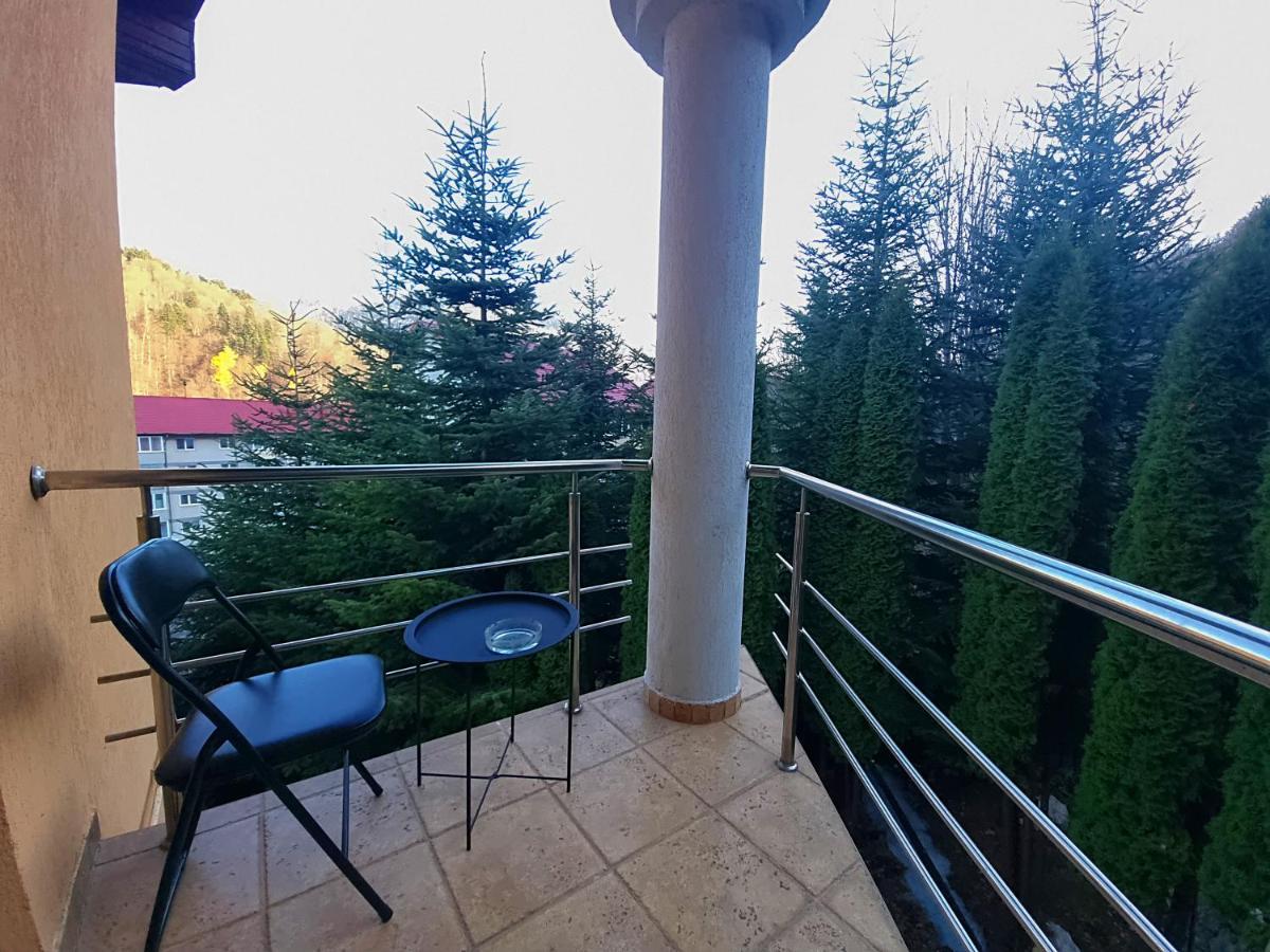 Marble Villa: Luxury Estate - Central But Intimate Sinaia Kültér fotó