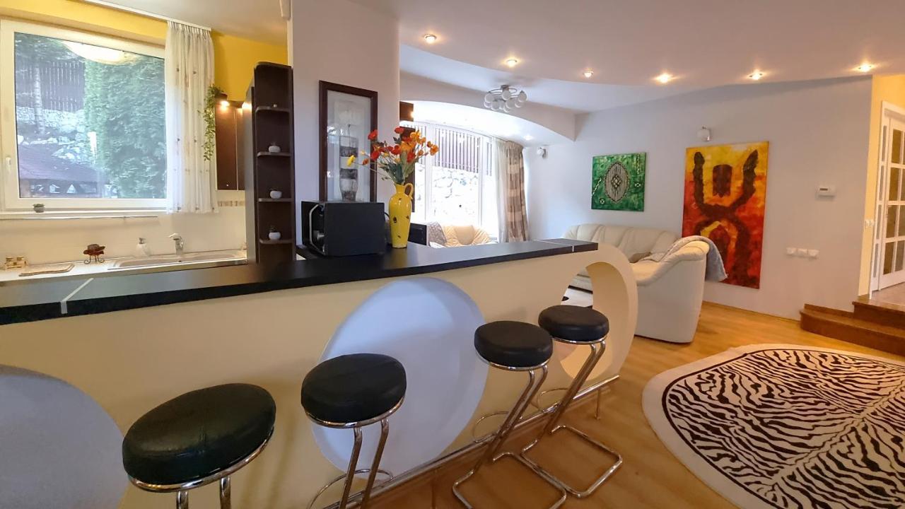 Marble Villa: Luxury Estate - Central But Intimate Sinaia Kültér fotó