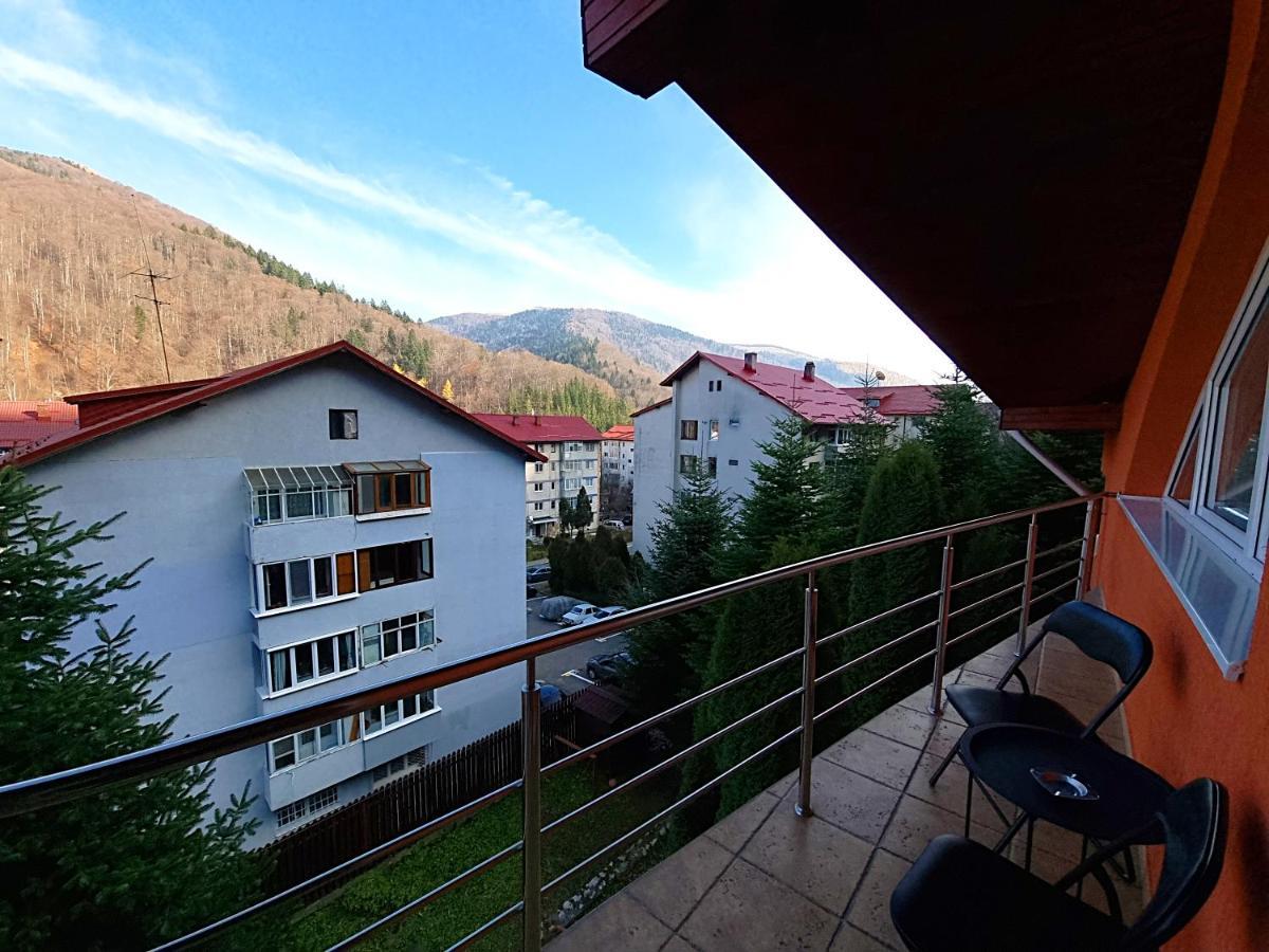 Marble Villa: Luxury Estate - Central But Intimate Sinaia Kültér fotó
