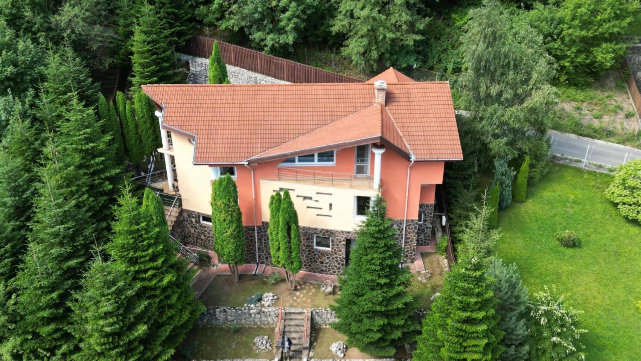 Marble Villa: Luxury Estate - Central But Intimate Sinaia Kültér fotó